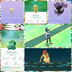 PhotoGrid_1471104167862